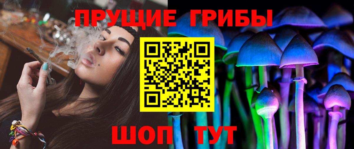 наркота  Вход с VPN  Будённовск  Галлюциногенные грибы прущие грибы 